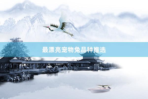 最漂亮宠物兔品种推选